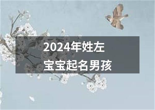 2024年姓左宝宝起名男孩