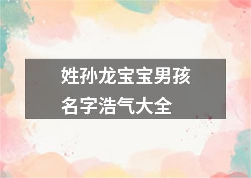 姓孙龙宝宝男孩名字浩气大全