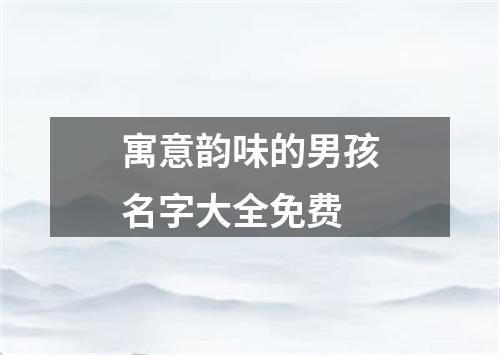 寓意韵味的男孩名字大全免费