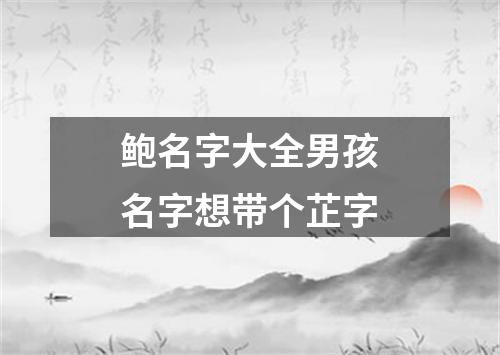 鲍名字大全男孩名字想带个芷字