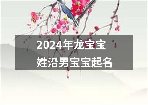 2024年龙宝宝姓沿男宝宝起名