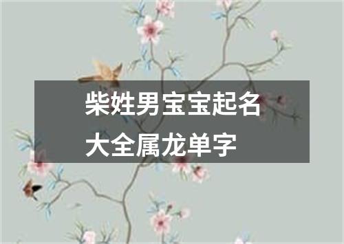 柴姓男宝宝起名大全属龙单字