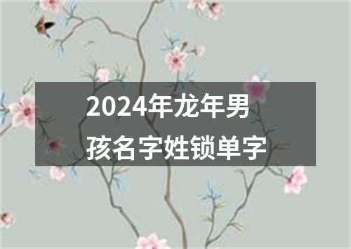 2024年龙年男孩名字姓锁单字