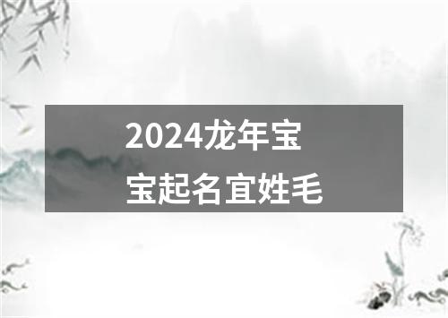 2024龙年宝宝起名宜姓毛