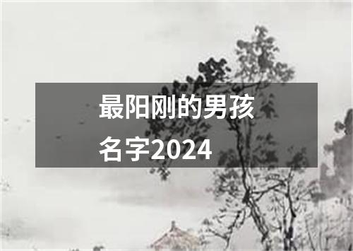 最阳刚的男孩名字2024