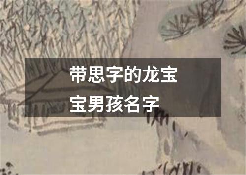 带思字的龙宝宝男孩名字