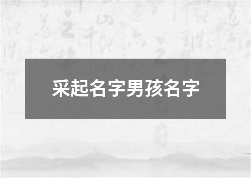 采起名字男孩名字