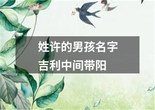 姓许的男孩名字吉利中间带阳