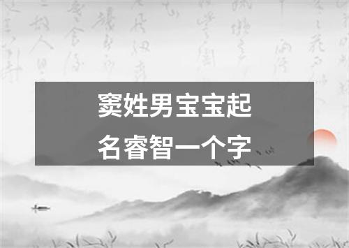 窦姓男宝宝起名睿智一个字