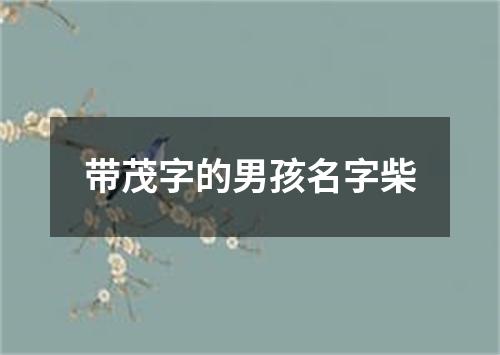 带茂字的男孩名字柴