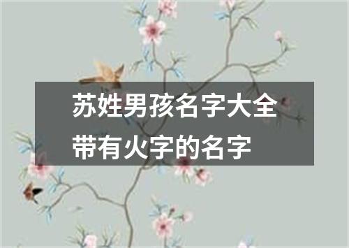 苏姓男孩名字大全带有火字的名字