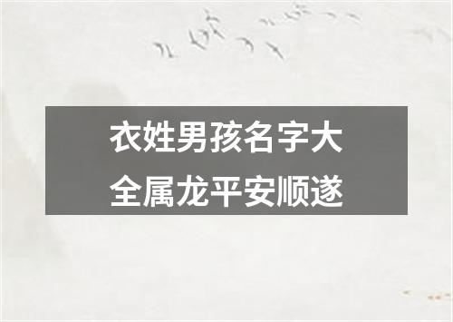 衣姓男孩名字大全属龙平安顺遂