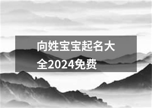 向姓宝宝起名大全2024免费