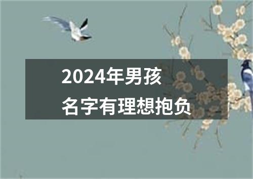 2024年男孩名字有理想抱负