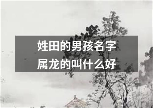 姓田的男孩名字属龙的叫什么好