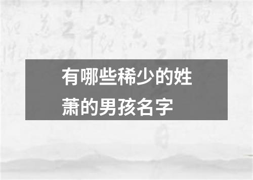 有哪些稀少的姓萧的男孩名字