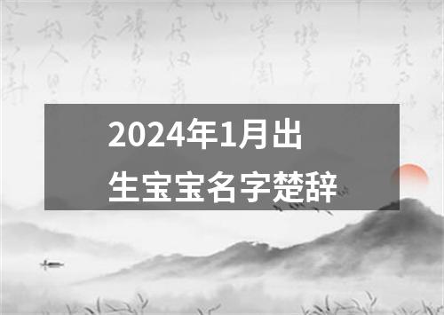 2024年1月出生宝宝名字楚辞