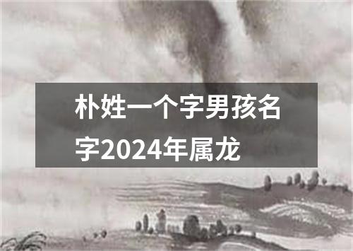 朴姓一个字男孩名字2024年属龙