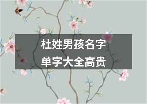 杜姓男孩名字单字大全高贵