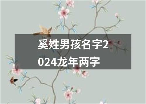 奚姓男孩名字2024龙年两字