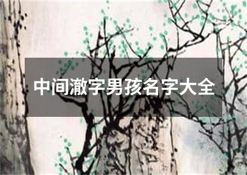 中间澈字男孩名字大全