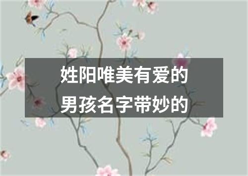 姓阳唯美有爱的男孩名字带妙的