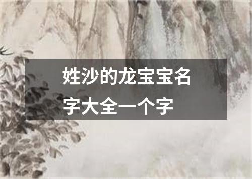 姓沙的龙宝宝名字大全一个字