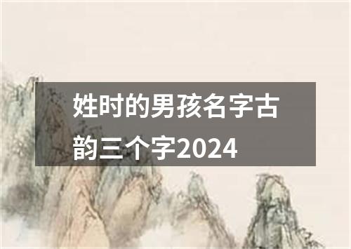 姓时的男孩名字古韵三个字2024