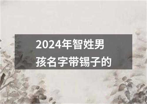 2024年智姓男孩名字带锡子的