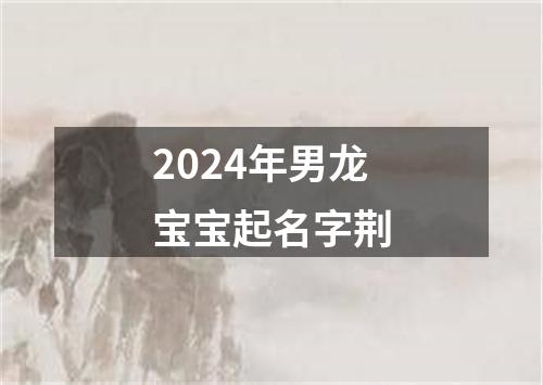 2024年男龙宝宝起名字荆