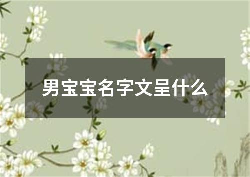 男宝宝名字文呈什么