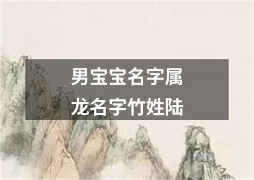 男宝宝名字属龙名字竹姓陆