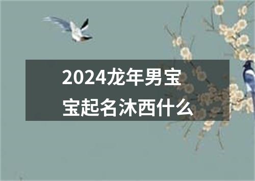 2024龙年男宝宝起名沐西什么