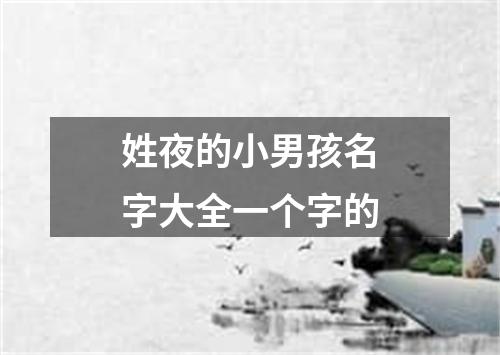 姓夜的小男孩名字大全一个字的