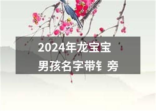 2024年龙宝宝男孩名字带钅旁