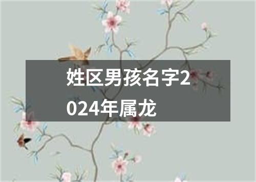 姓区男孩名字2024年属龙