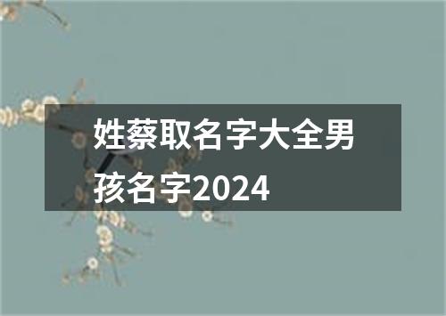 姓蔡取名字大全男孩名字2024