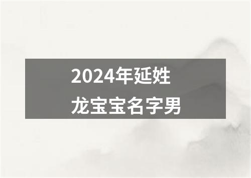 2024年延姓龙宝宝名字男