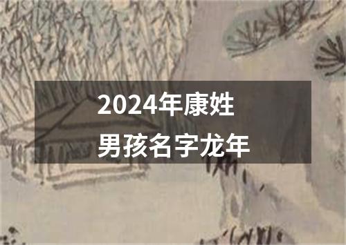 2024年康姓男孩名字龙年