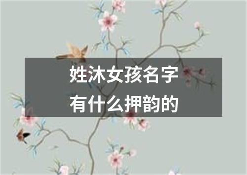 姓沐女孩名字有什么押韵的