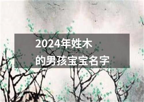 2024年姓木的男孩宝宝名字