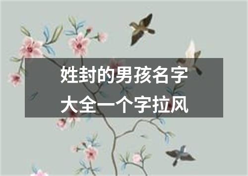 姓封的男孩名字大全一个字拉风