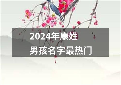 2024年康姓男孩名字最热门