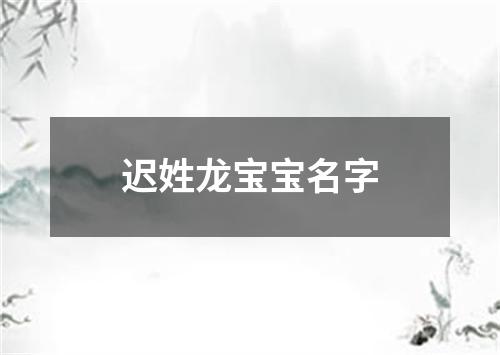 迟姓龙宝宝名字