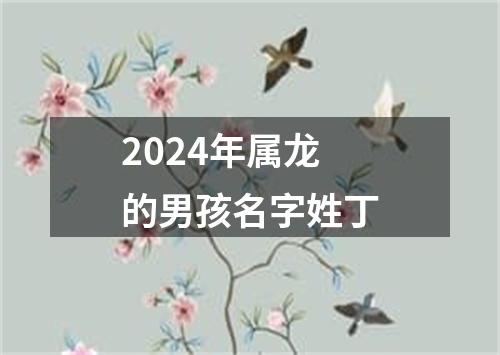 2024年属龙的男孩名字姓丁