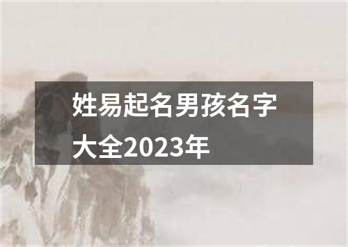 姓易起名男孩名字大全2023年