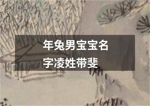 年兔男宝宝名字凌姓带斐