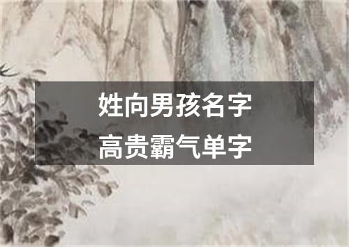 姓向男孩名字高贵霸气单字