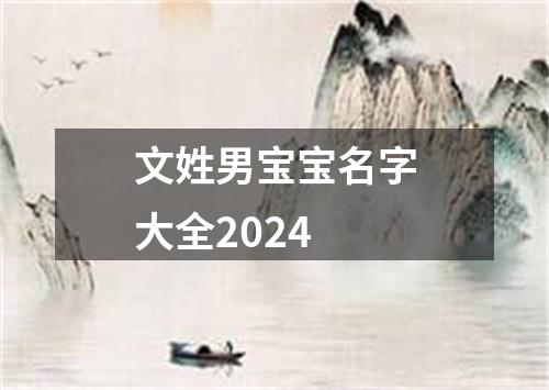 文姓男宝宝名字大全2024