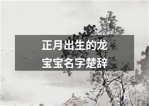 正月出生的龙宝宝名字楚辞